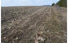Property photo 17 - 98+/- Acres Offered in 6 Tracts or Combinations, Noble County, Indiana Farm